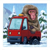 nucleus_portland_microdose5_macaque_kei_truck